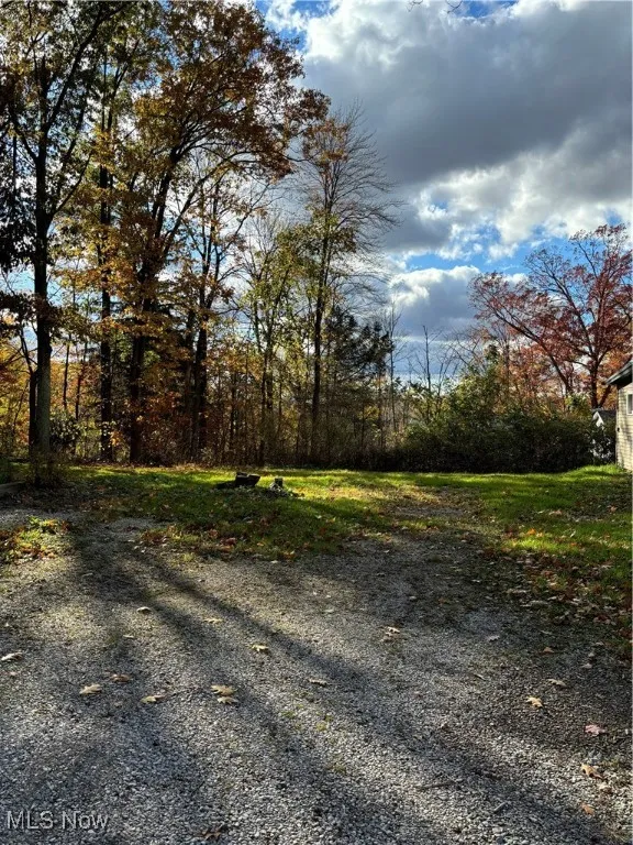 Driveway & Side Lot