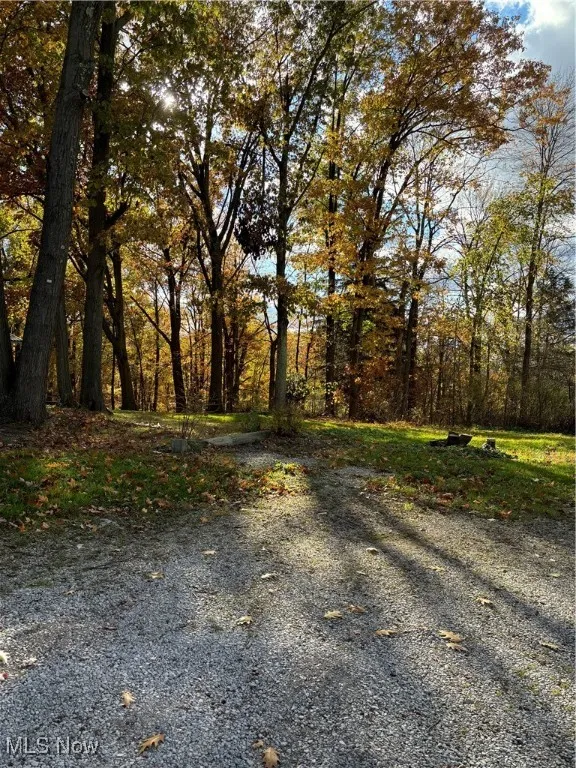 Driveway & Back Lot