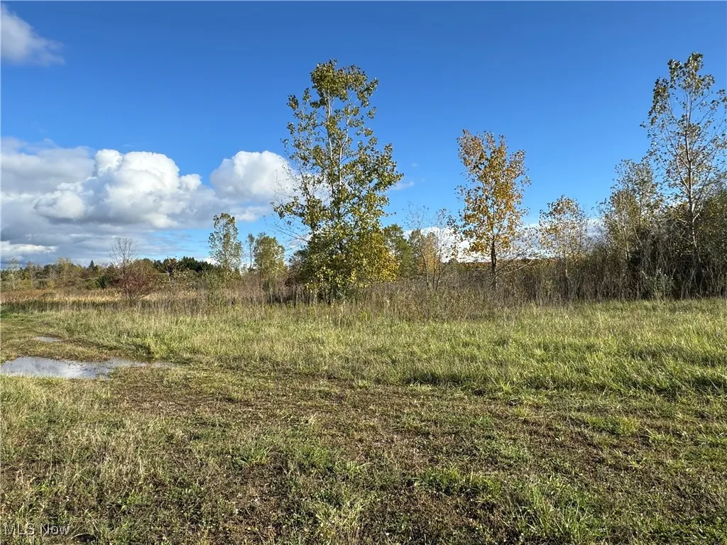 10656 Kinsman Road, Newbury, Ohio,MLS Now Listing ID
