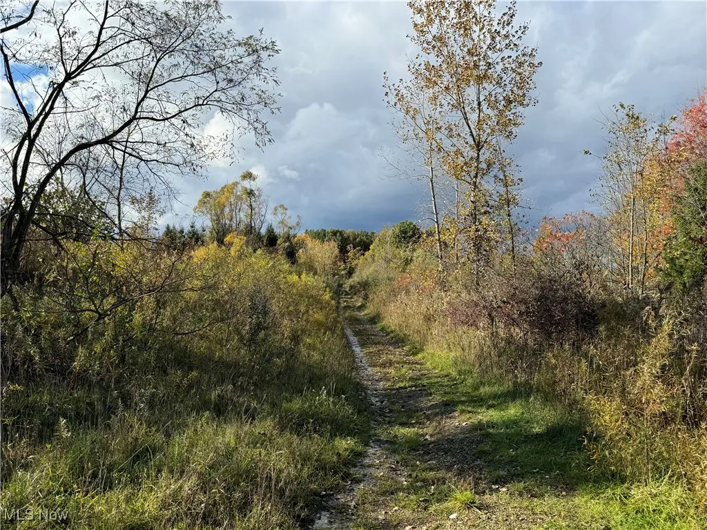 10656 Kinsman Road, Newbury, Ohio,MLS Now Listing ID