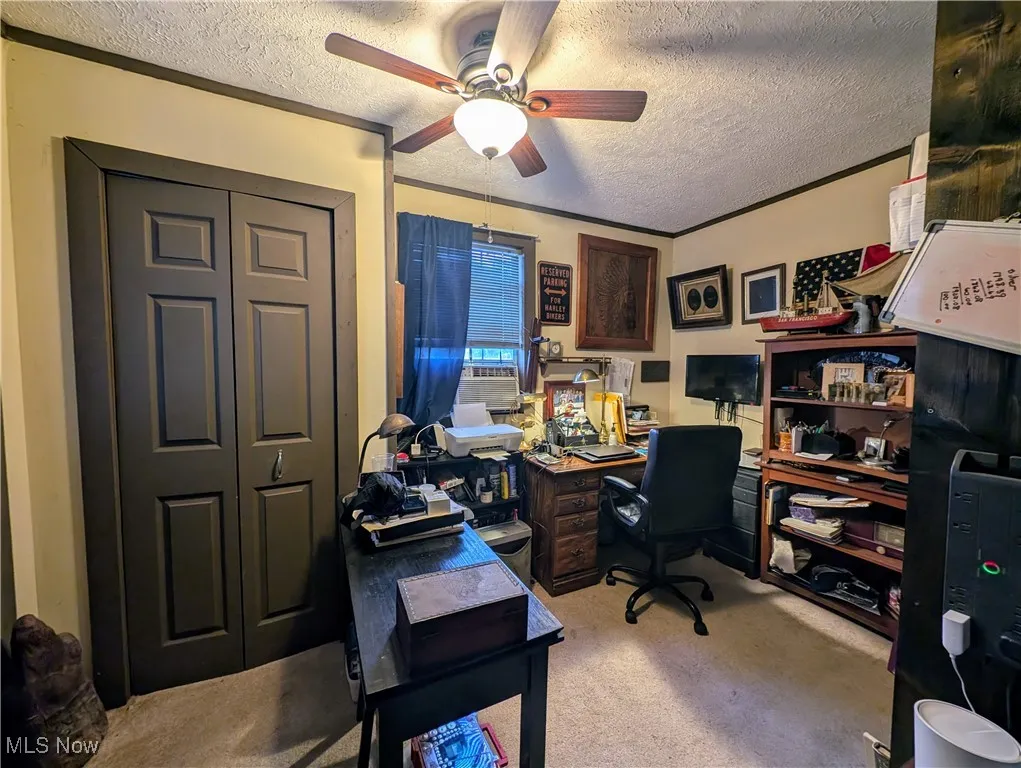 66 Roosevelt, Reedy, West Virginia,MLS Now Listing ID