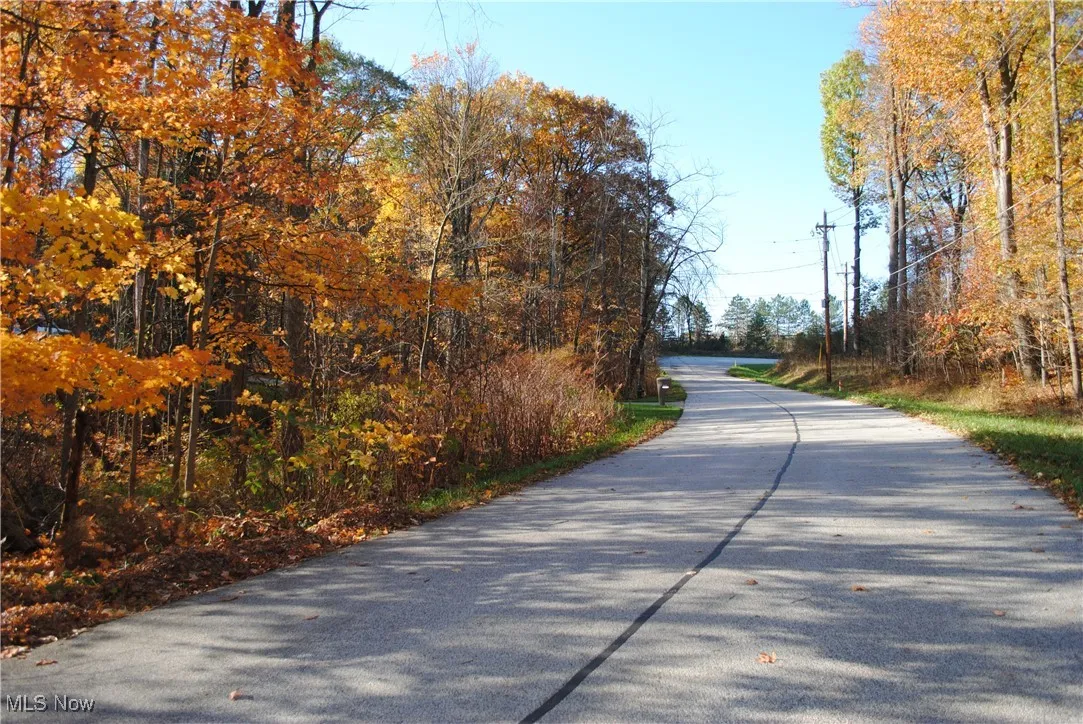 Mill Hollow Lane, Strongsville, Ohio 44136,MLS Now Listing ID