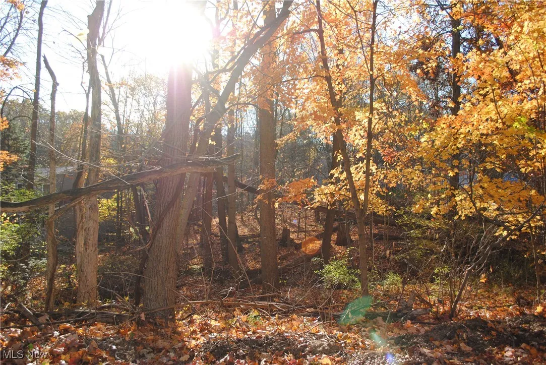 Mill Hollow Lane, Strongsville, Ohio 44136,MLS Now Listing ID