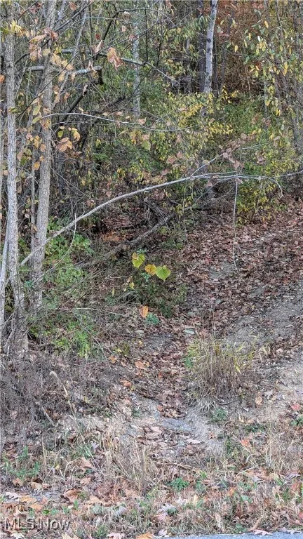 View of nature