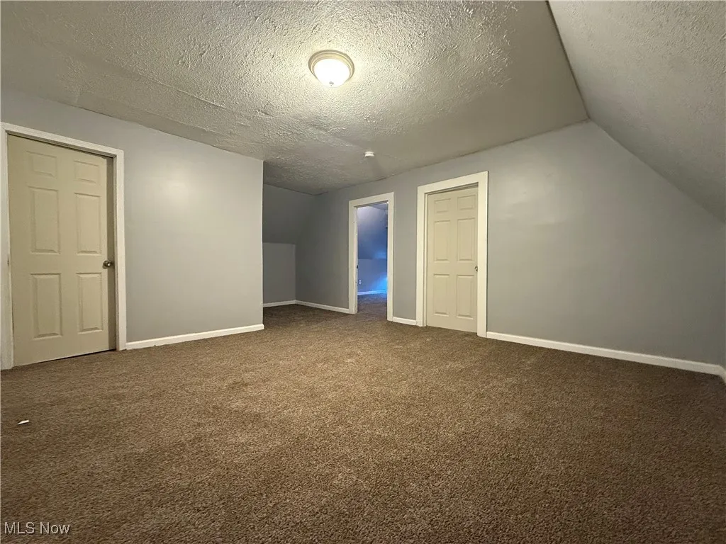 Bonus room with lofted ceiling, a textured ceiling, and carpet flooring