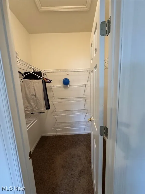 Spacious closet featuring dark carpet