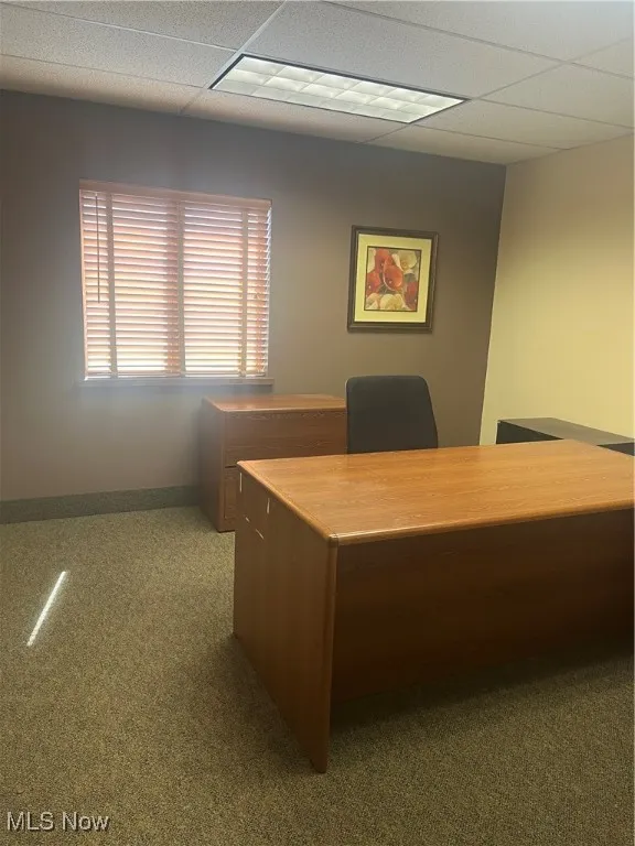 Carpeted office featuring a drop ceiling