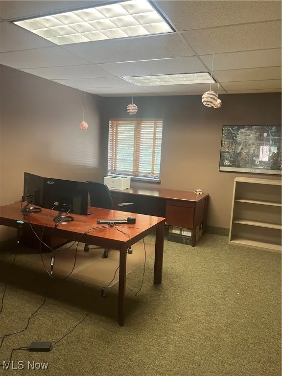Office space with a drop ceiling and carpet flooring