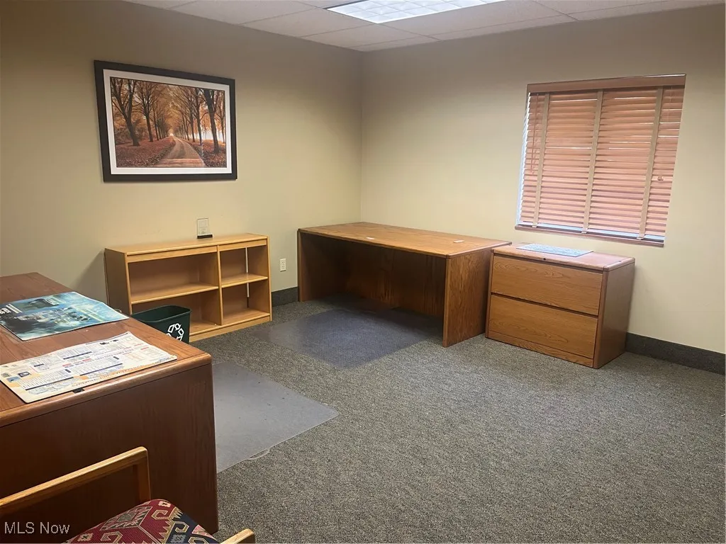 Carpeted office space with a drop ceiling