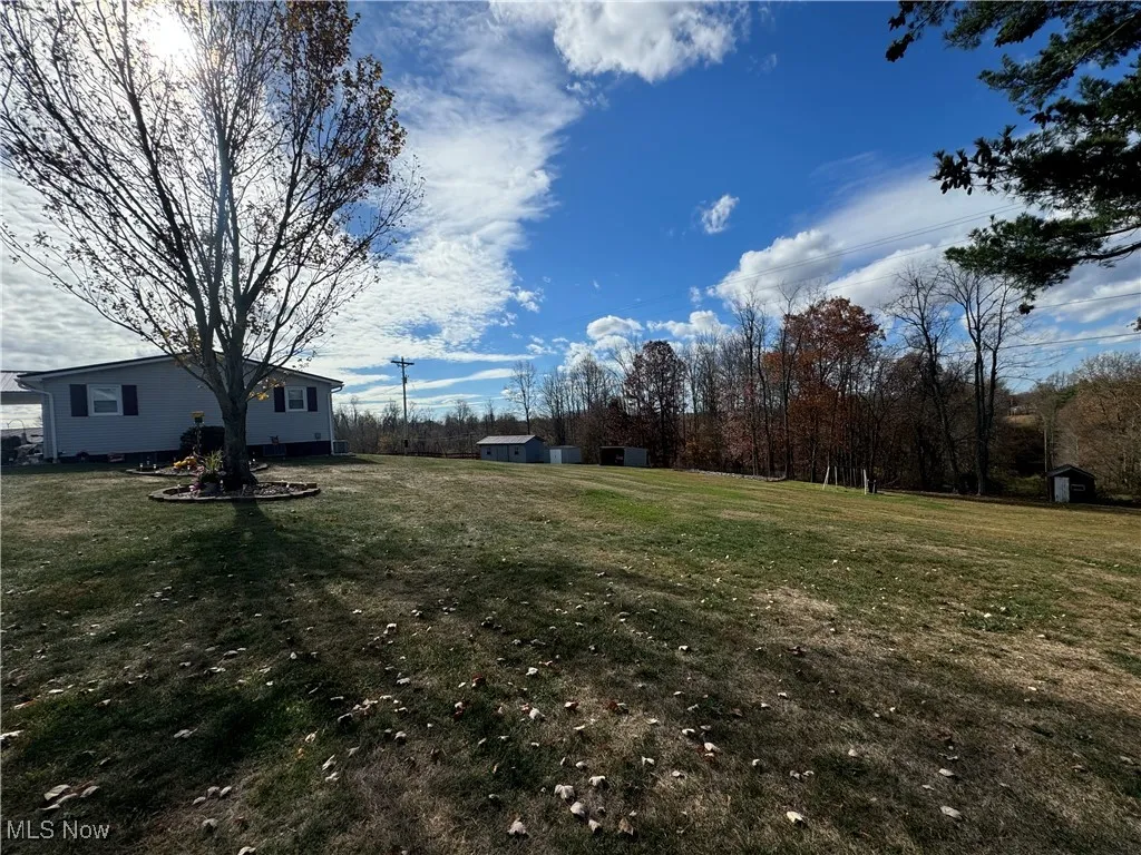 View of yard featuring a storage unit