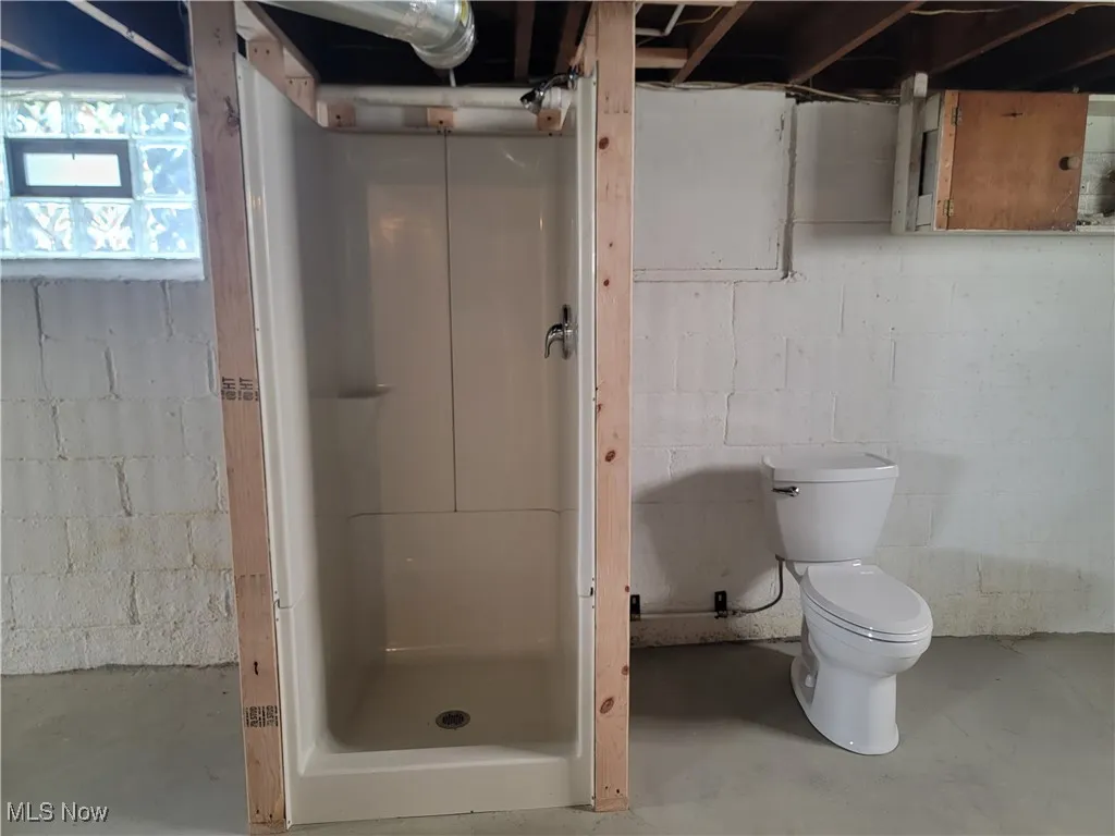 Basement Bathroom