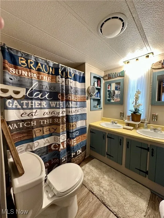 Bathroom with vanity, hardwood / wood-style flooring, a textured ceiling, and toilet