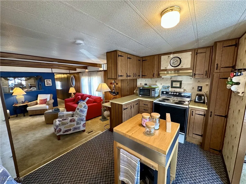 Kitchen with range with electric cooktop, decorative backsplash, carpet floors, a textured ceiling, and ornamental molding