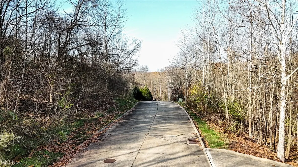 View of road