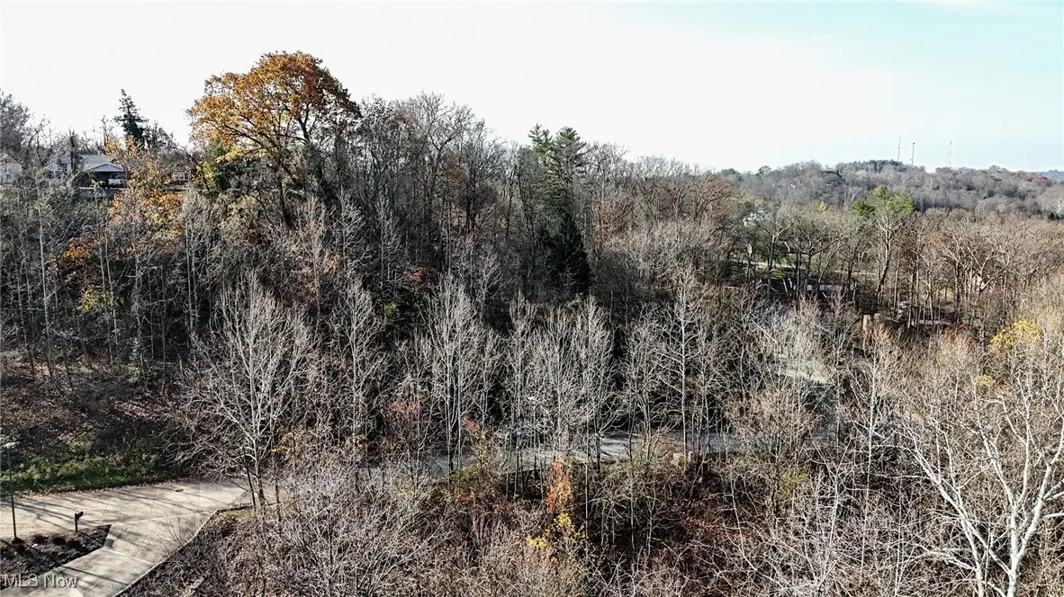 View of local wilderness