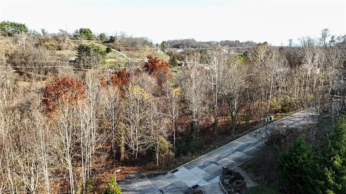 View of nature
