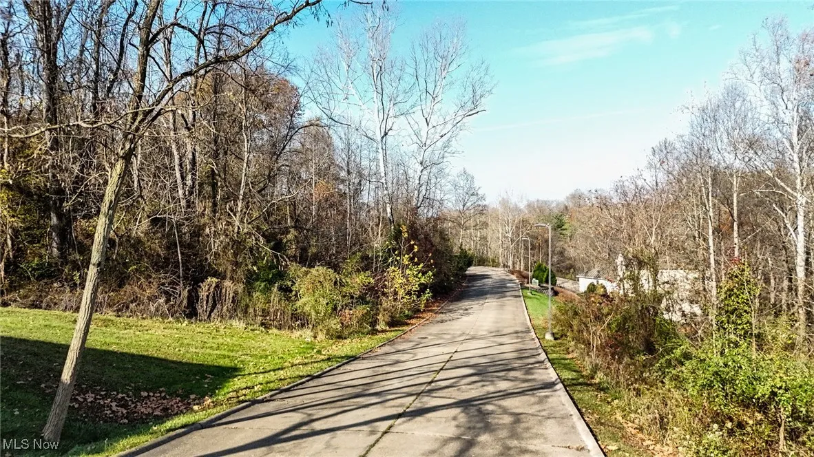 View of home's community