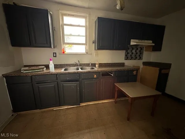 Kitchen with sink