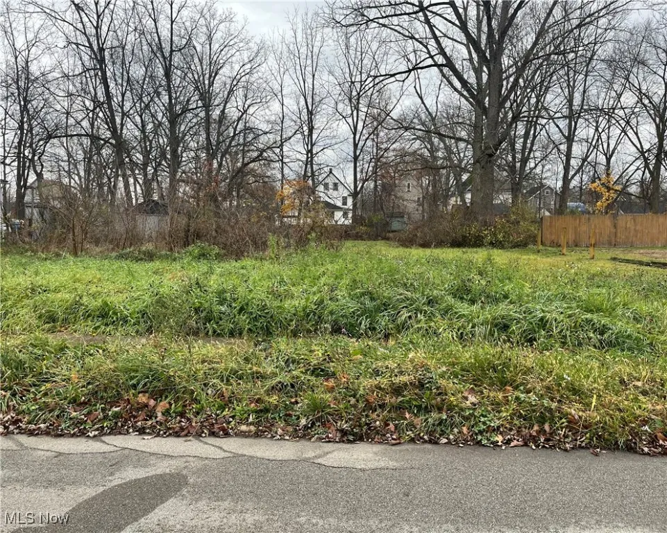 View of Lot
