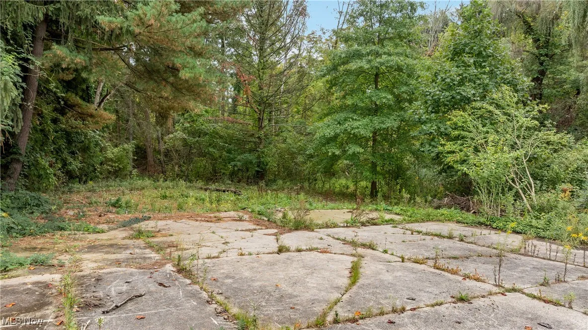 1356 E Turkeyfoot Lake Road, Akron, Ohio,MLS Now Listing ID
