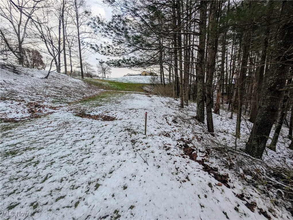 0 Mc Gregor Drive, Sutton, West Virginia,MLS Now Listing ID
