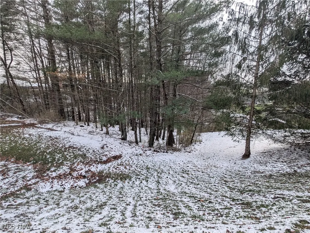 0 Mc Gregor Drive, Sutton, West Virginia,MLS Now Listing ID
