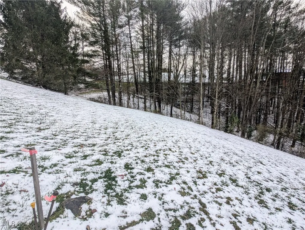0 Mc Gregor Drive, Sutton, West Virginia,MLS Now Listing ID