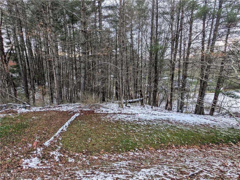 0 Mc Gregor Drive, Sutton, West Virginia,MLS Now Listing ID