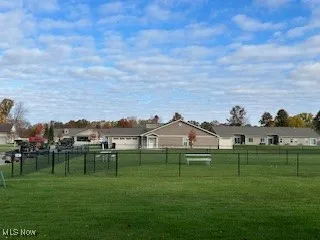Dog Park