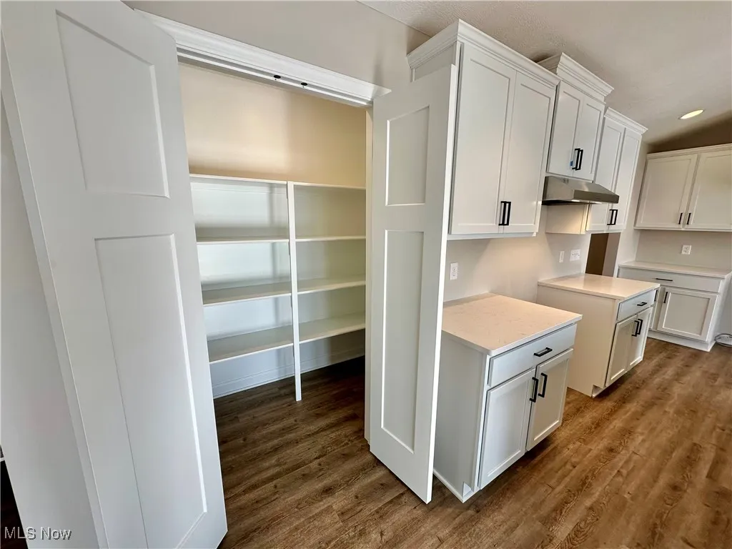 Kitchen with white cabinets and dark hardwood / wood-style floors