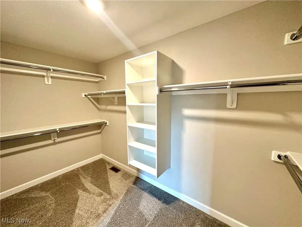 Spacious closet featuring carpet flooring