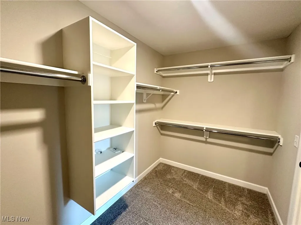Spacious closet with carpet