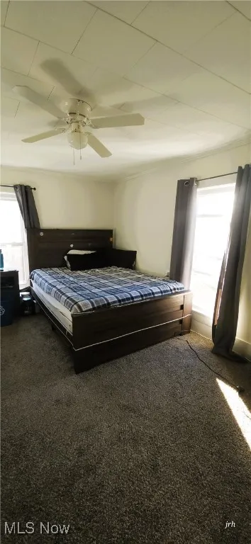 Spacious Bedroom 2 on upper level with ceiling fan, carpet floors.
