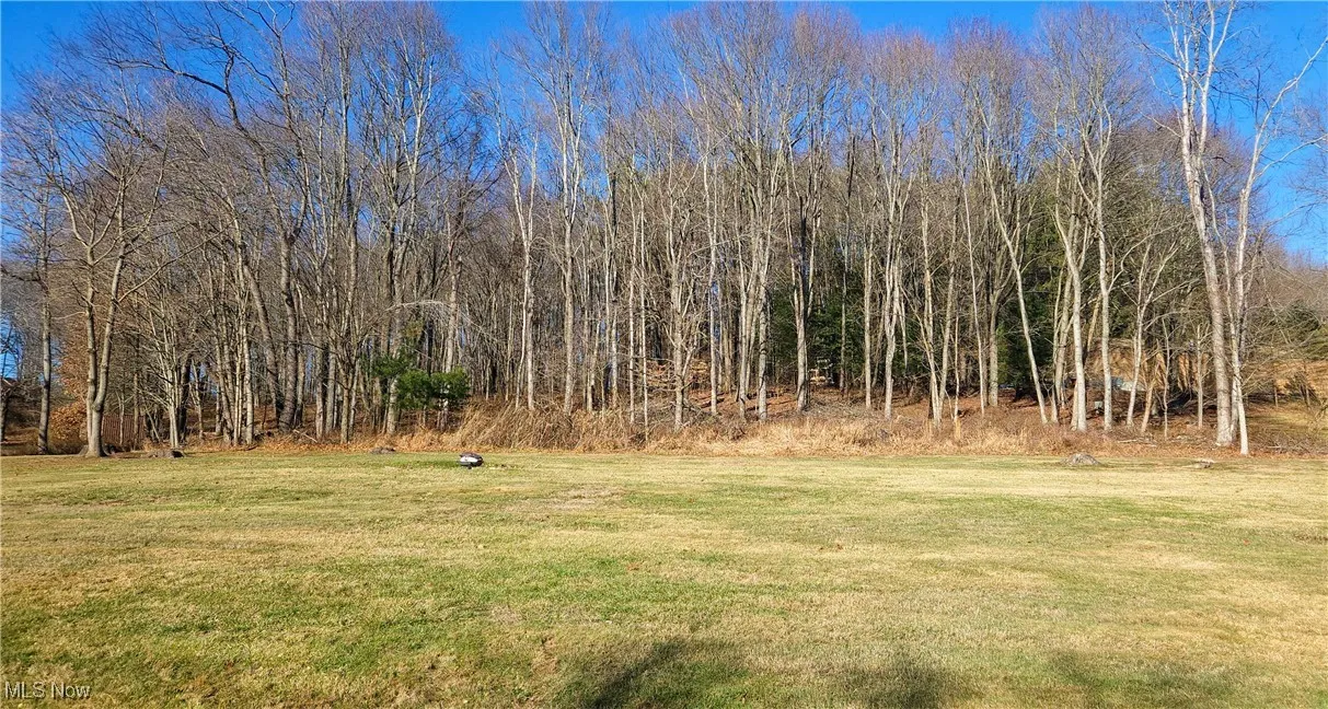 View of yard with an area for a fire pit or basketball shooting pad