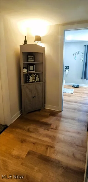 Quaint Hallway featuring laminate flooring is a cute nook to decorate.