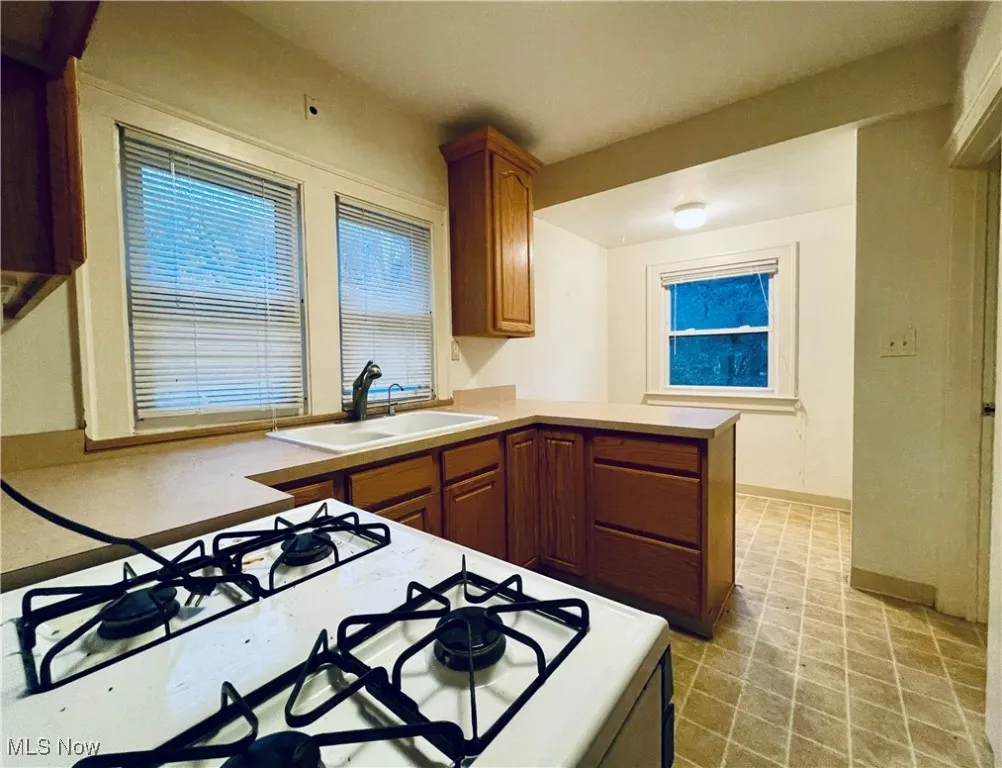 21950 Euclid Avenue, Euclid, Ohio,MLS Now Listing ID
