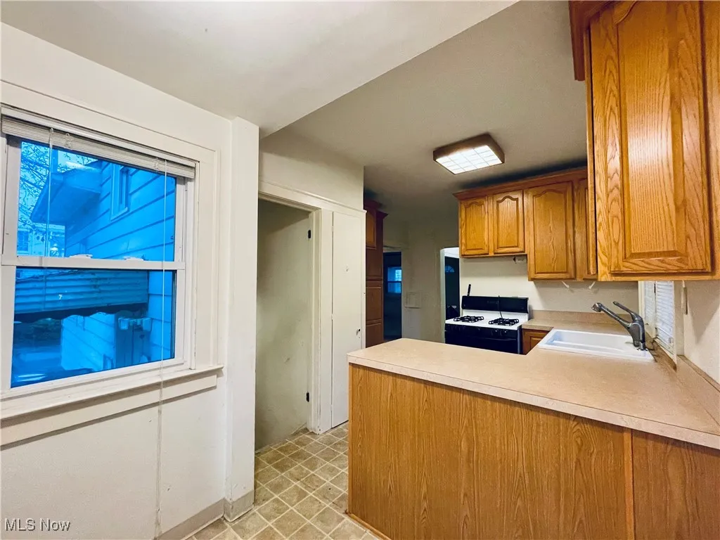 21950 Euclid Avenue, Euclid, Ohio,MLS Now Listing ID