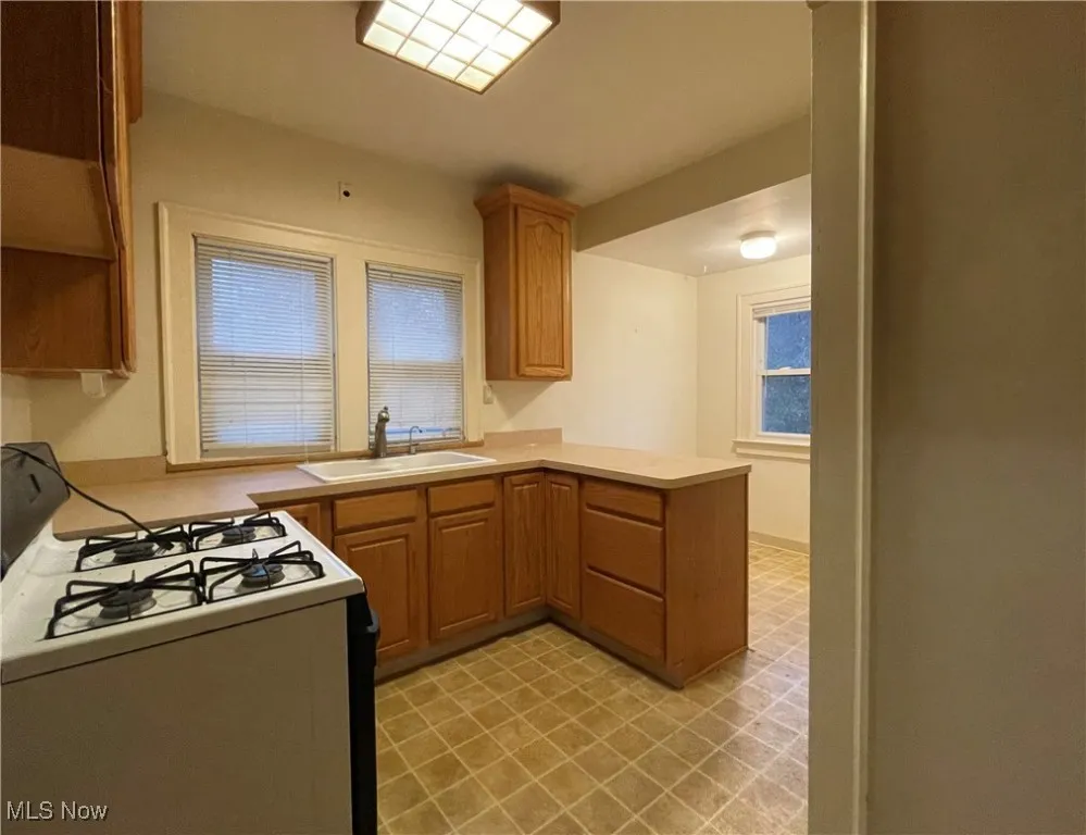 21950 Euclid Avenue, Euclid, Ohio,MLS Now Listing ID