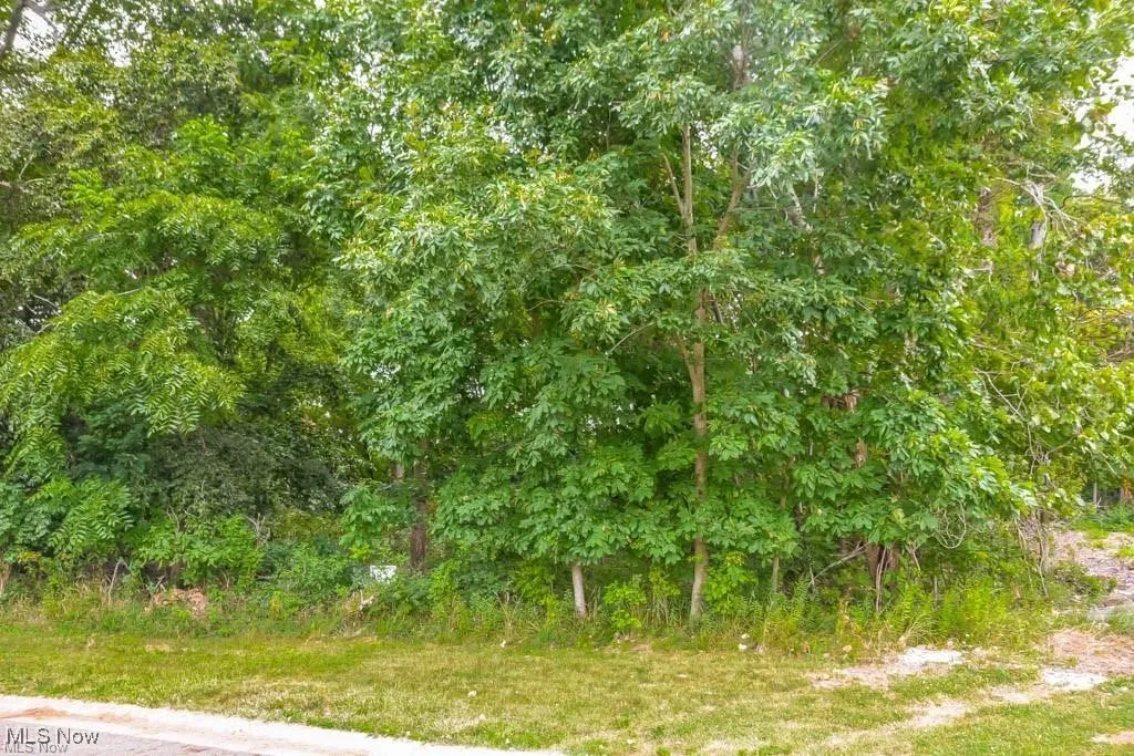 St Elmo Avenue, Canton, Ohio,MLS Now Listing ID