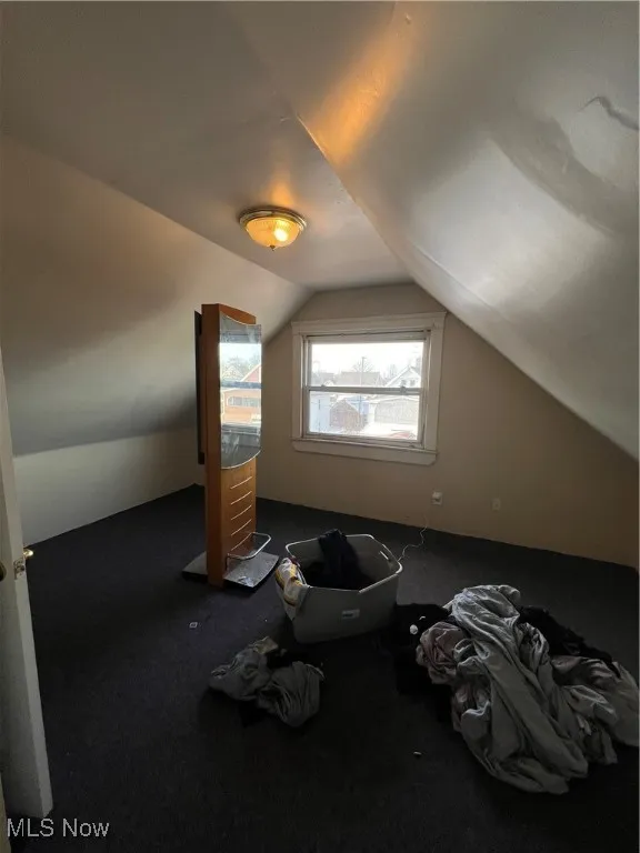 Bonus room with carpet and lofted ceiling