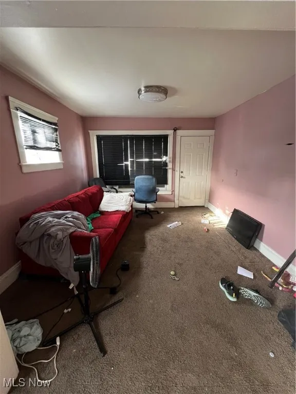Living room featuring carpet flooring