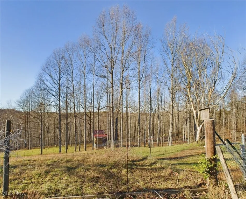 268 Mountain View Drive, Big Spring, West Virginia 26137,MLS Now Listing ID