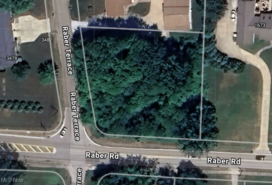 Ariel view of lot before tree removal 
