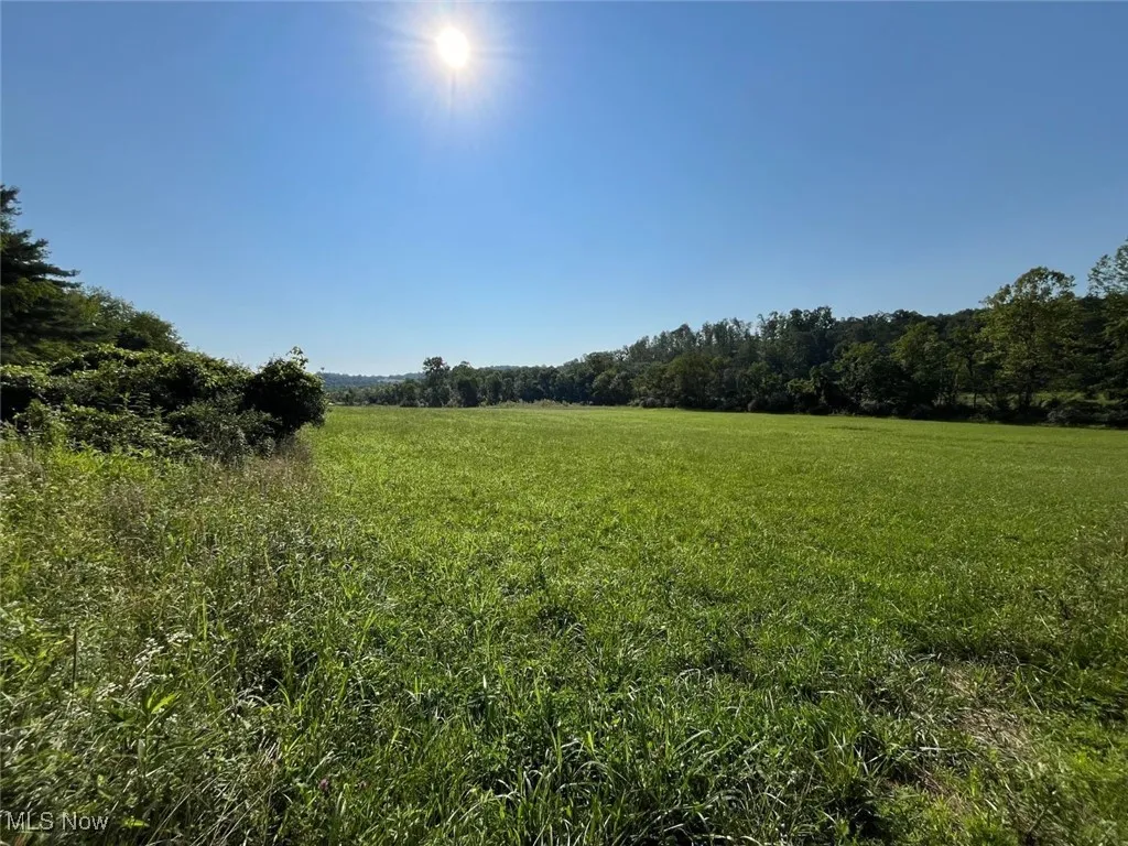 View of local wilderness with rural landscape