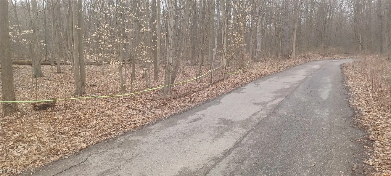 Idylwild Avenue, Lake Milton, Ohio 44429,MLS Now Listing ID