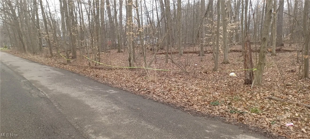 Idylwild Avenue, Lake Milton, Ohio,MLS Now Listing ID