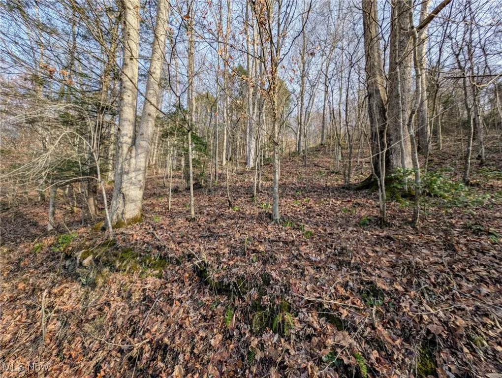 333 Little Italy Road, West Virginia,MLS Now Listing ID