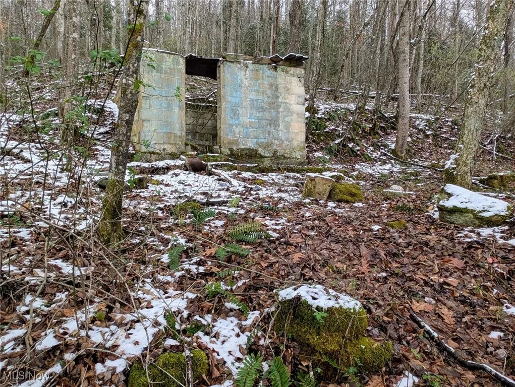 333 Little Italy Road, West Virginia,MLS Now Listing ID