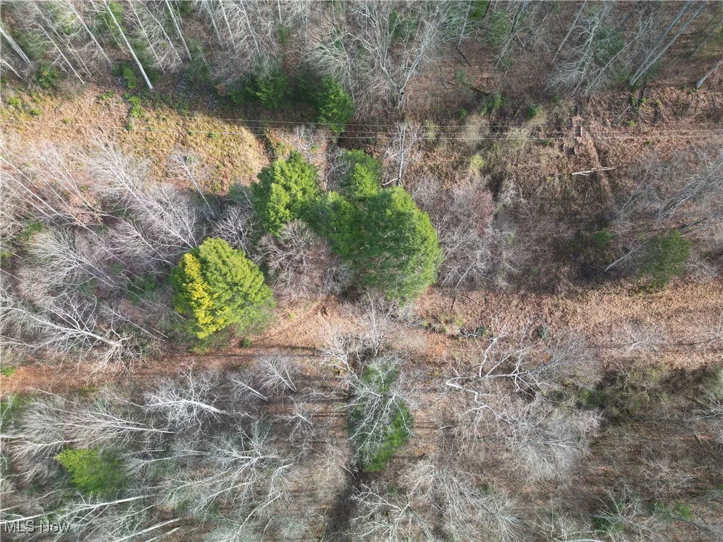 333 Little Italy Road, West Virginia,MLS Now Listing ID