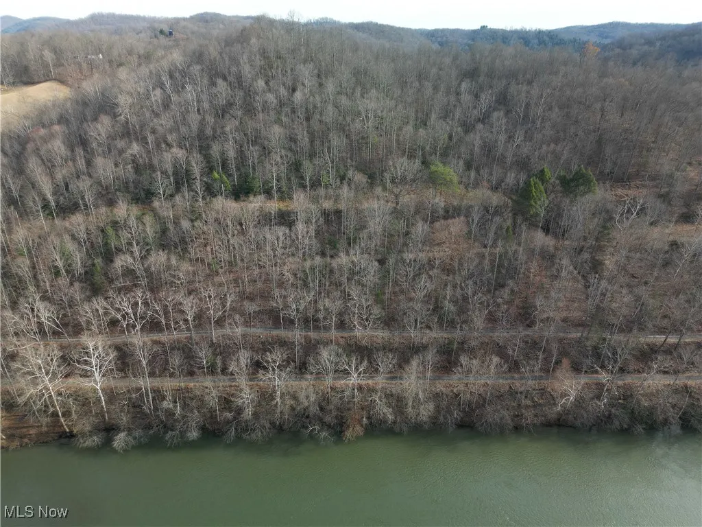 333 Little Italy Road, West Virginia,MLS Now Listing ID